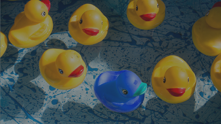 Rubber Ducking: The greatest tool of a development agency