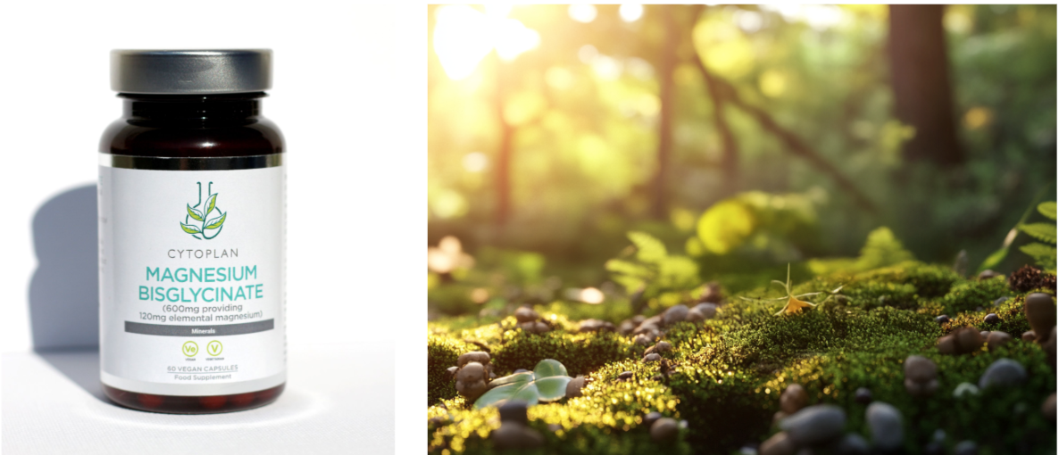 Our core photography and mood image